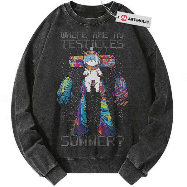 Rick and Morty Sweatshirt, Animated Sweatshirt, Vintage Sweatshirt